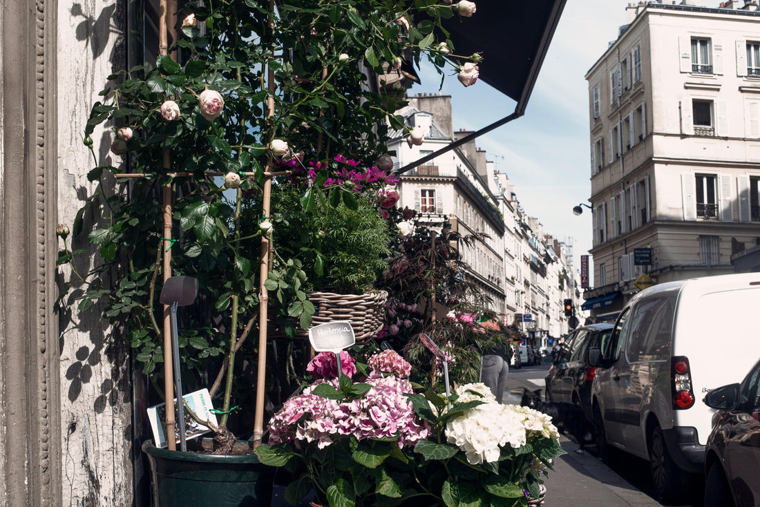 10 Idées de sorties en plein air : prolongez vos vacances à Paris - Quark